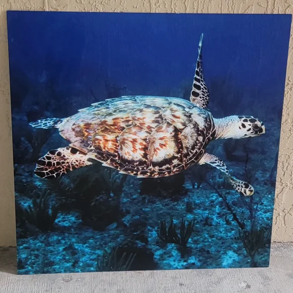 Aluminum Sea Turtle Ocean Wall Art 30x30